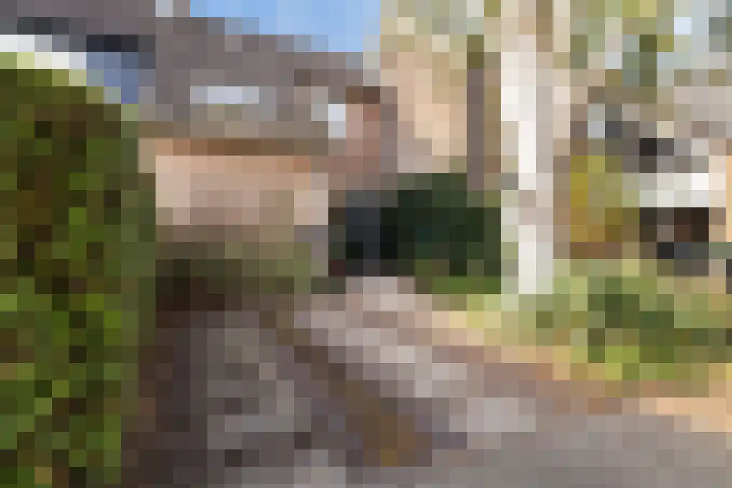 Zwaluwstraat 131 Ermelo thumbnail 14
