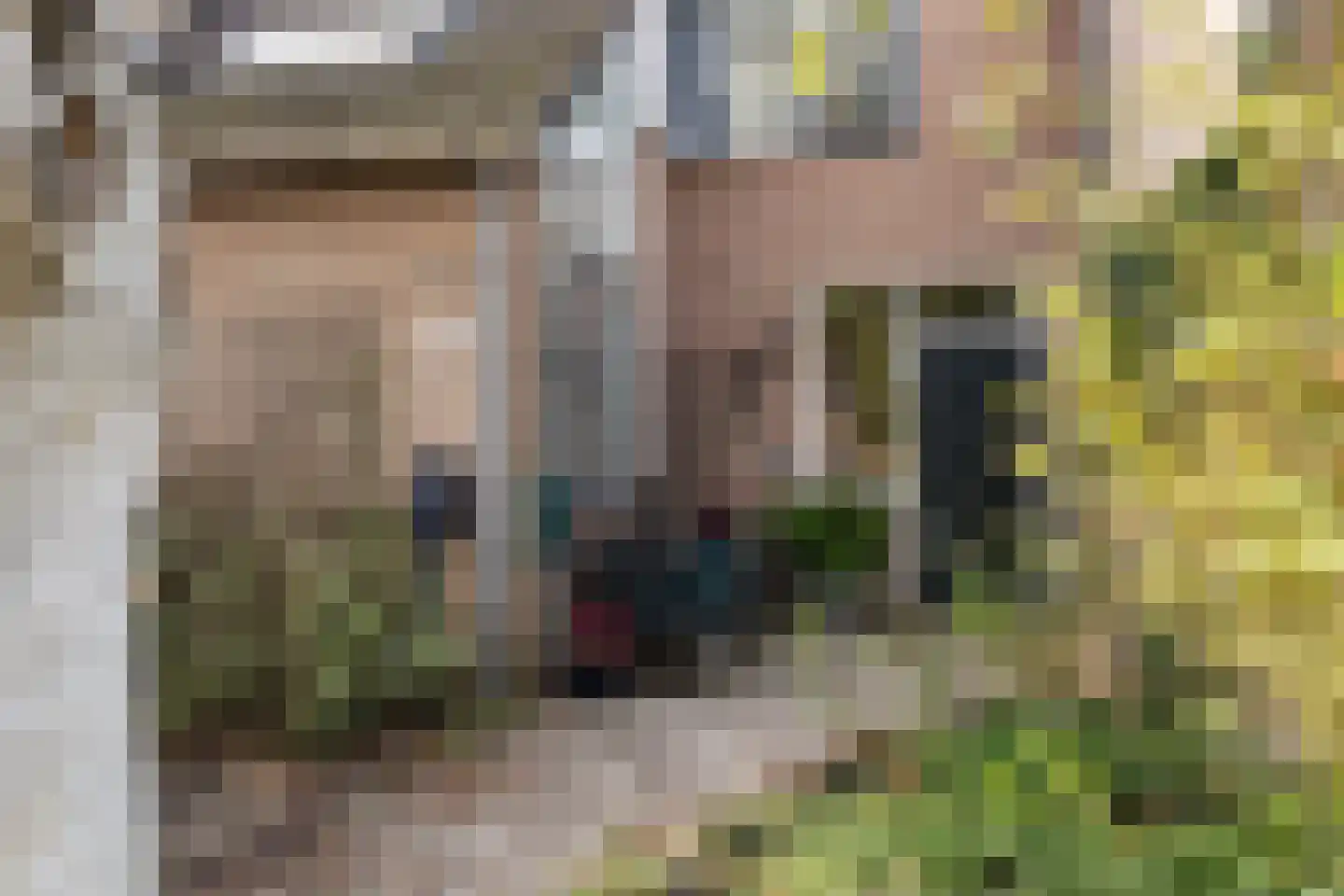 Zwaluwstraat 131 Ermelo thumbnail 15