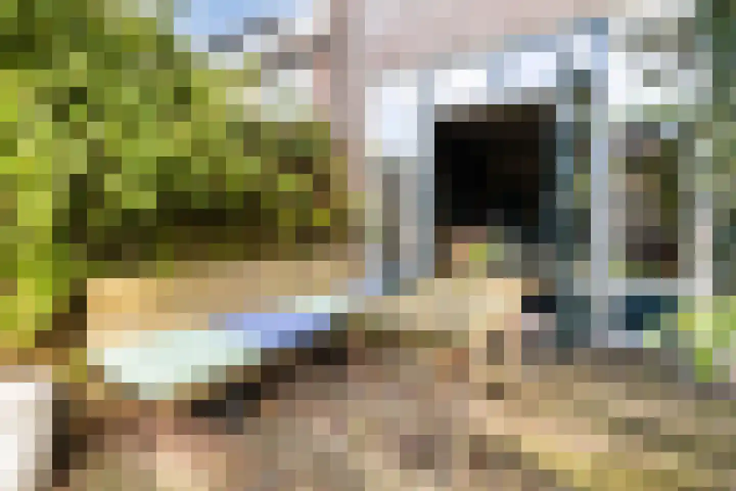 Zwaluwstraat 131 Ermelo thumbnail 4