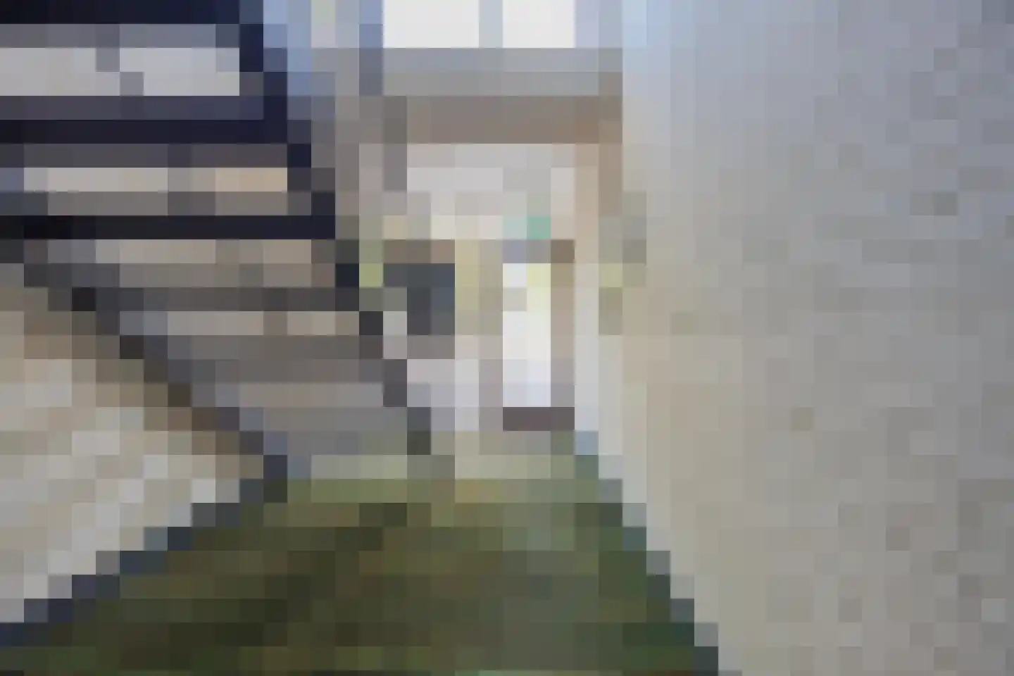 Zwaluwstraat 135 Horst thumbnail 9