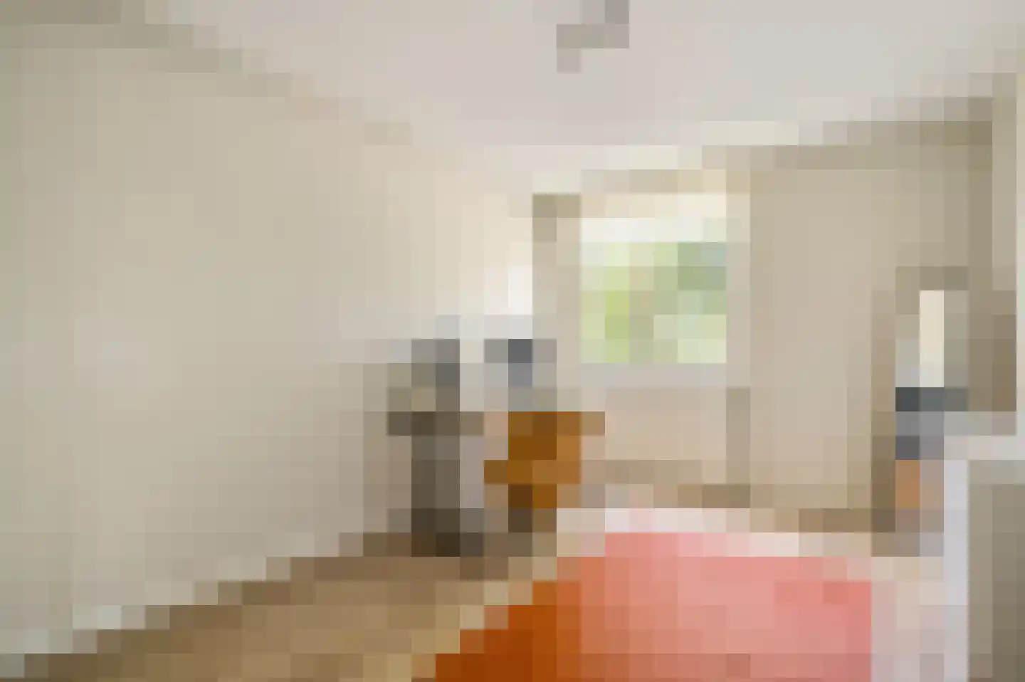 Zwaluwstraat 137 Horst thumbnail 26