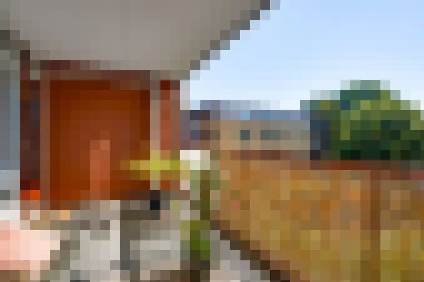 Zwaluwstraat 137 Horst thumbnail 31