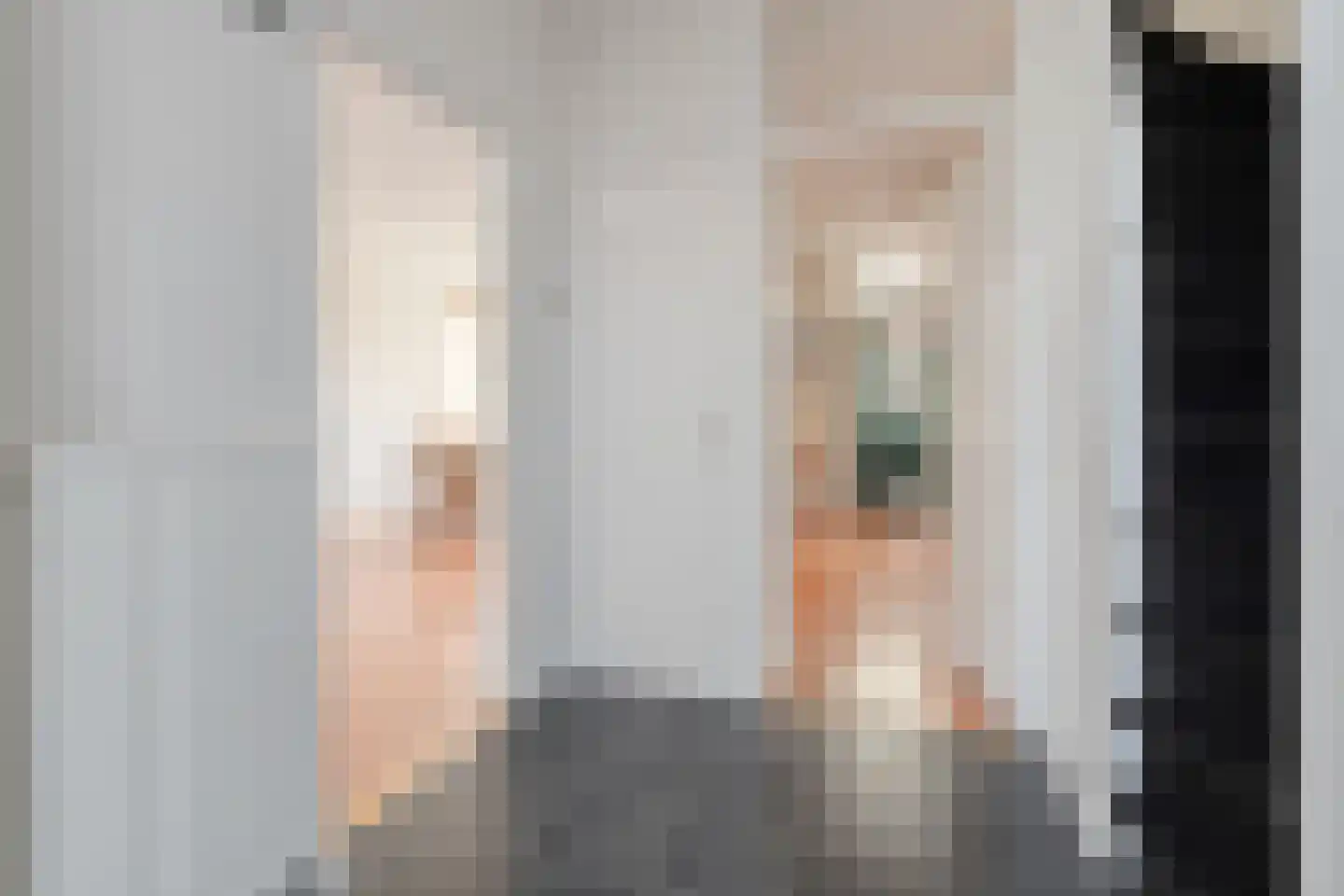 Zwaluwstraat 14 Hardenberg thumbnail 6