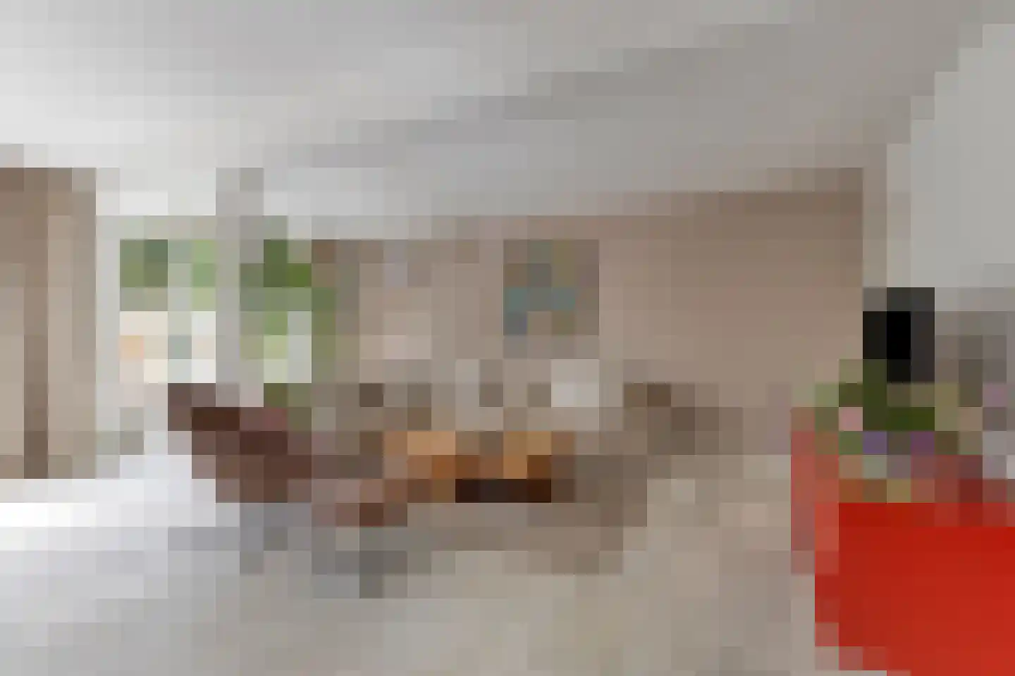 Zwaluwstraat 14 Lisse thumbnail 10