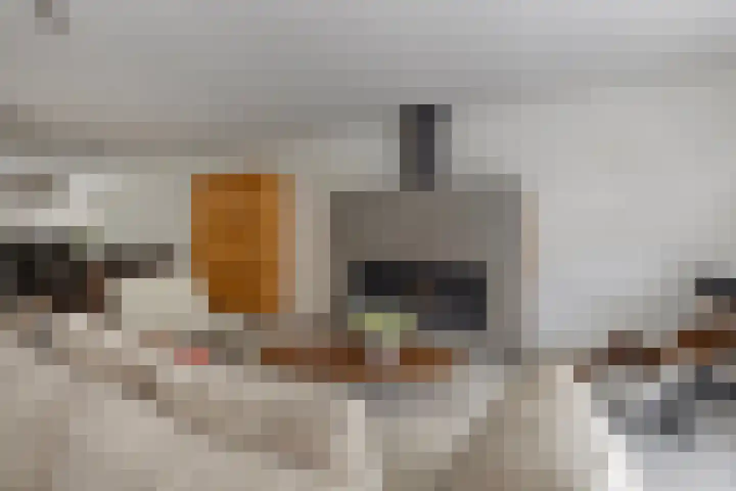 Zwaluwstraat 14 Lisse thumbnail 13