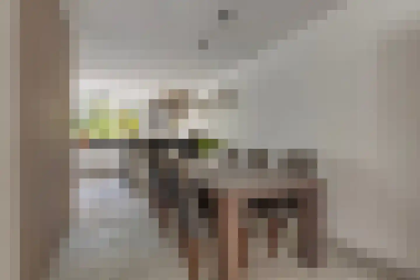 Zwaluwstraat 14 Lisse thumbnail 21