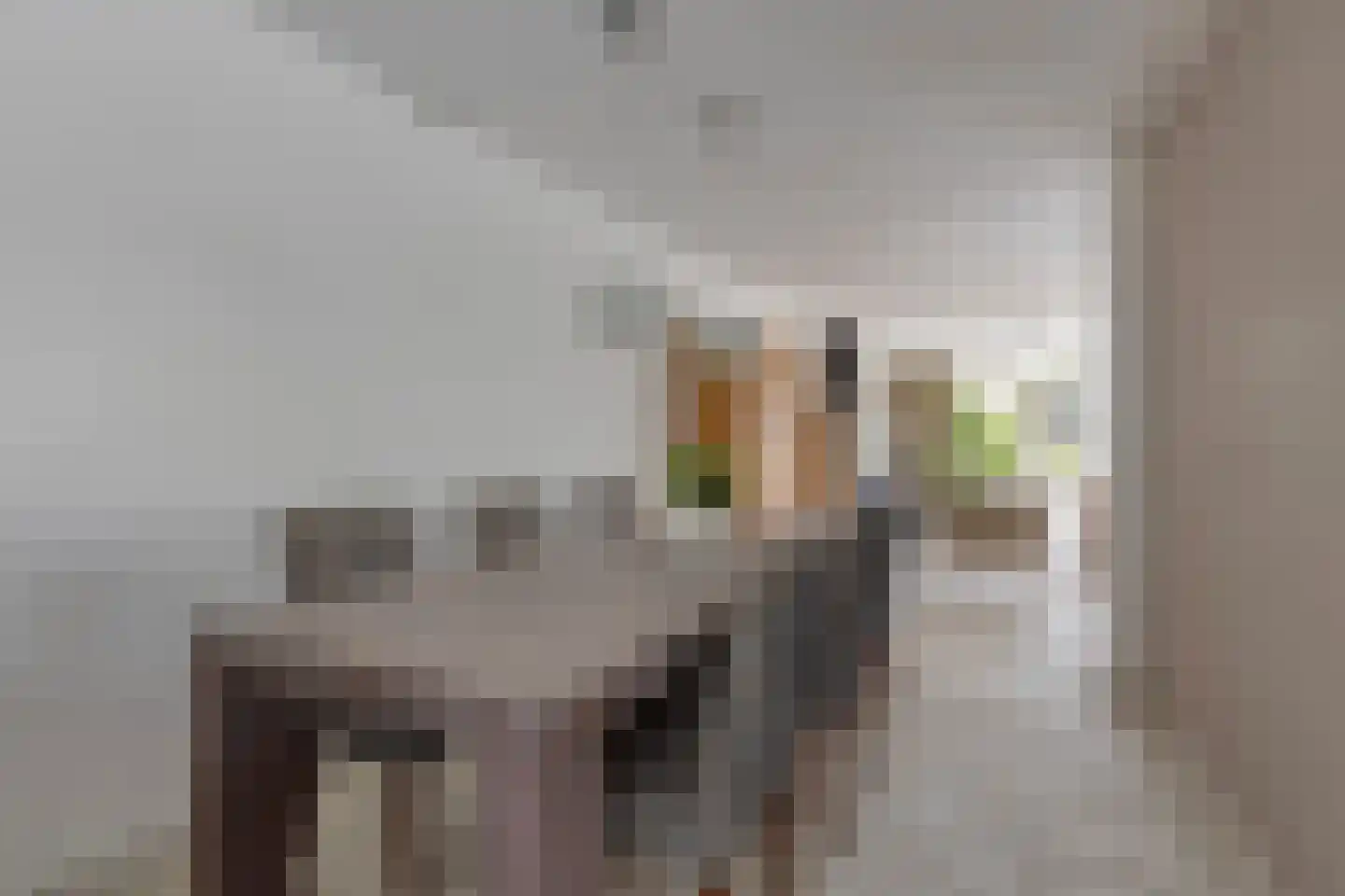 Zwaluwstraat 14 Lisse thumbnail 22