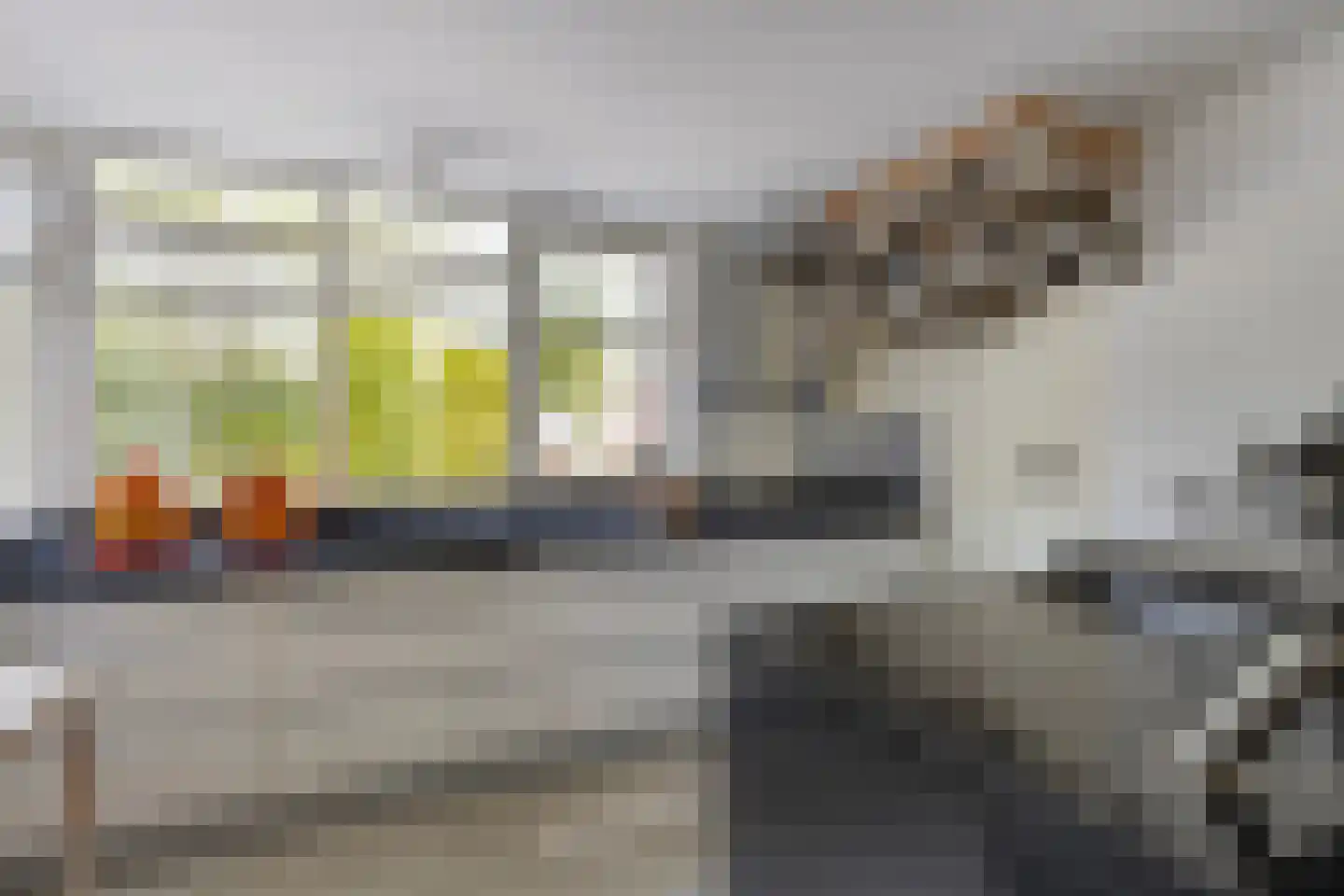 Zwaluwstraat 14 Lisse thumbnail 23