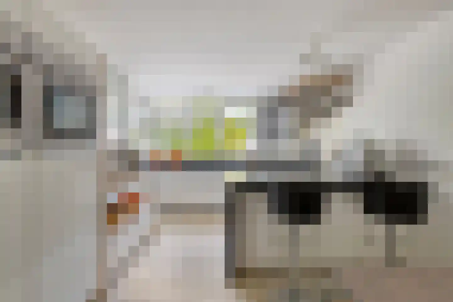 Zwaluwstraat 14 Lisse thumbnail 24