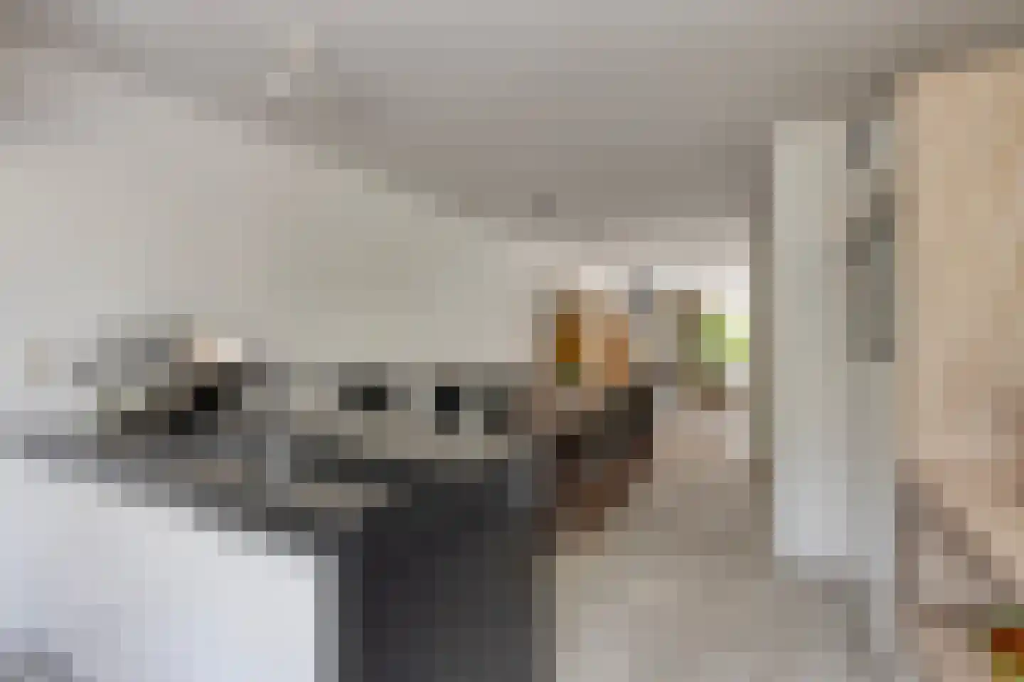 Zwaluwstraat 14 Lisse thumbnail 26