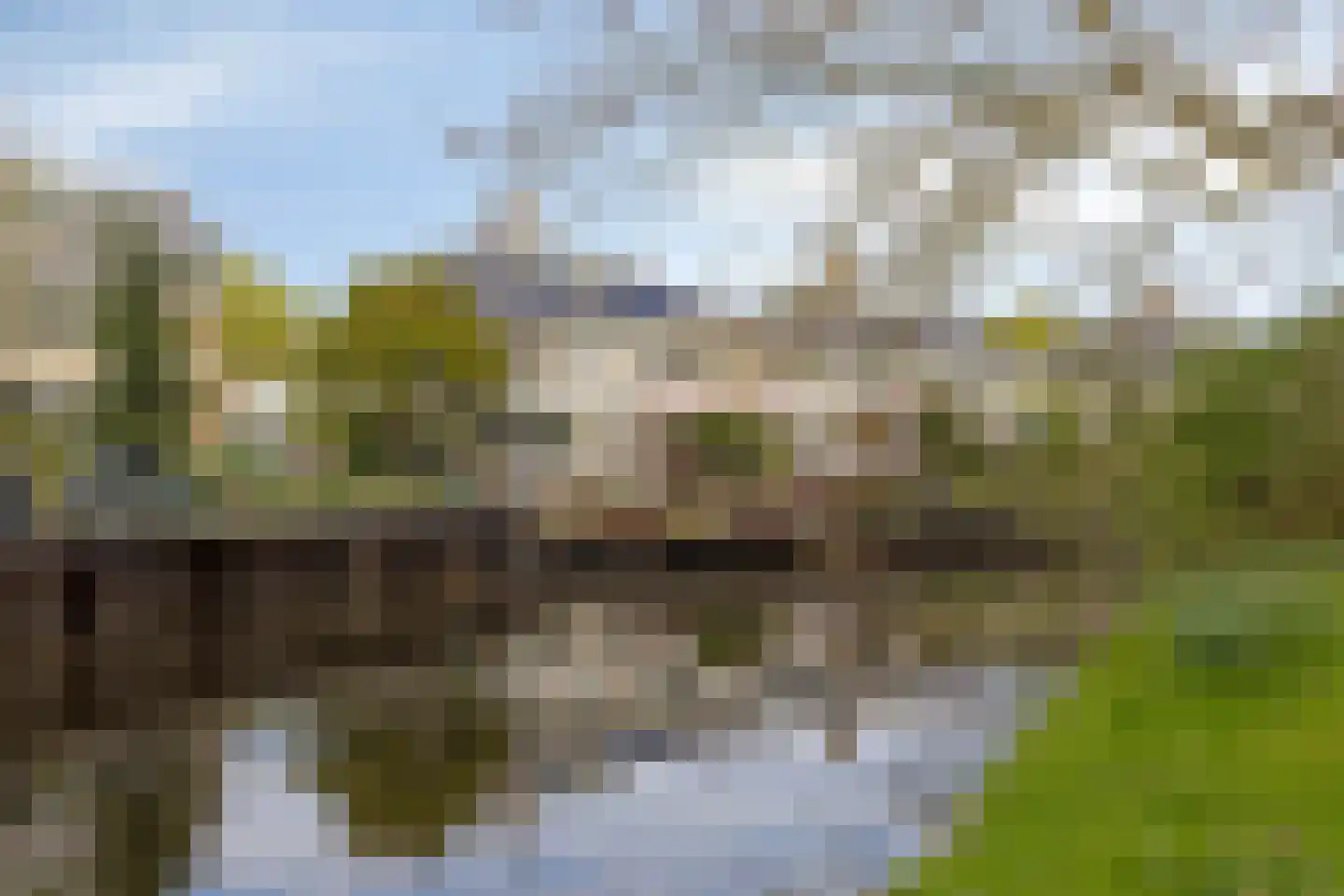 Zwaluwstraat 14 Lisse thumbnail 31