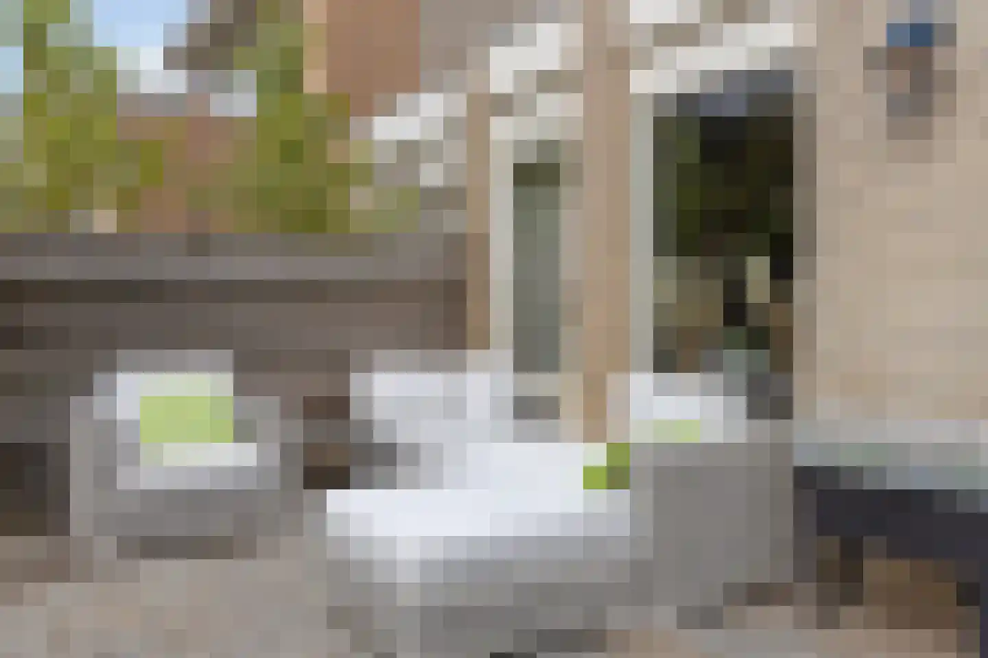 Zwaluwstraat 14 Lisse thumbnail 39