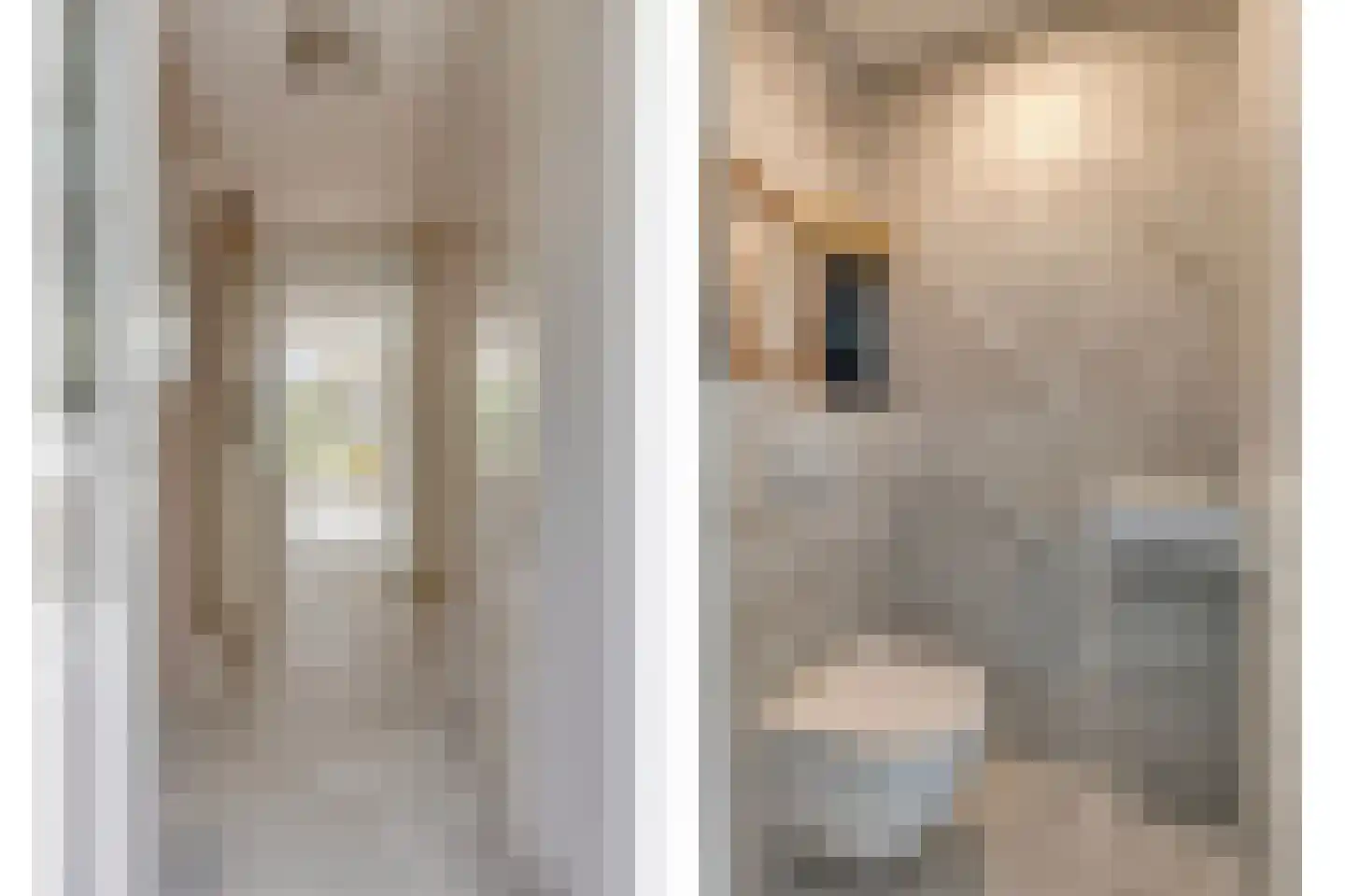 Zwaluwstraat 14 Lisse thumbnail 4