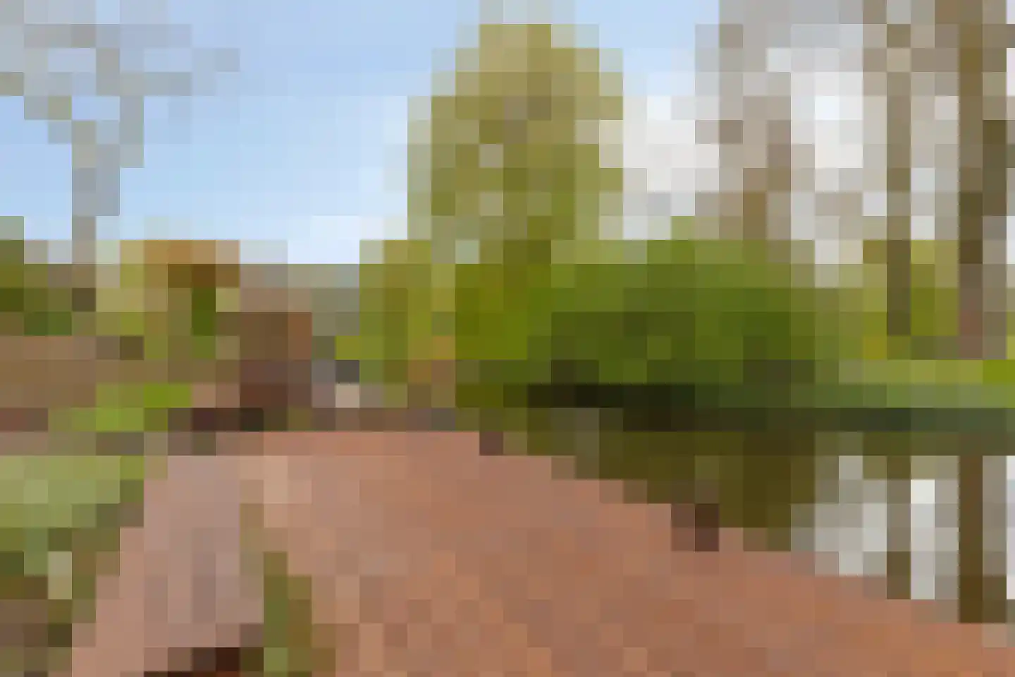 Zwaluwstraat 14 Lisse thumbnail 41