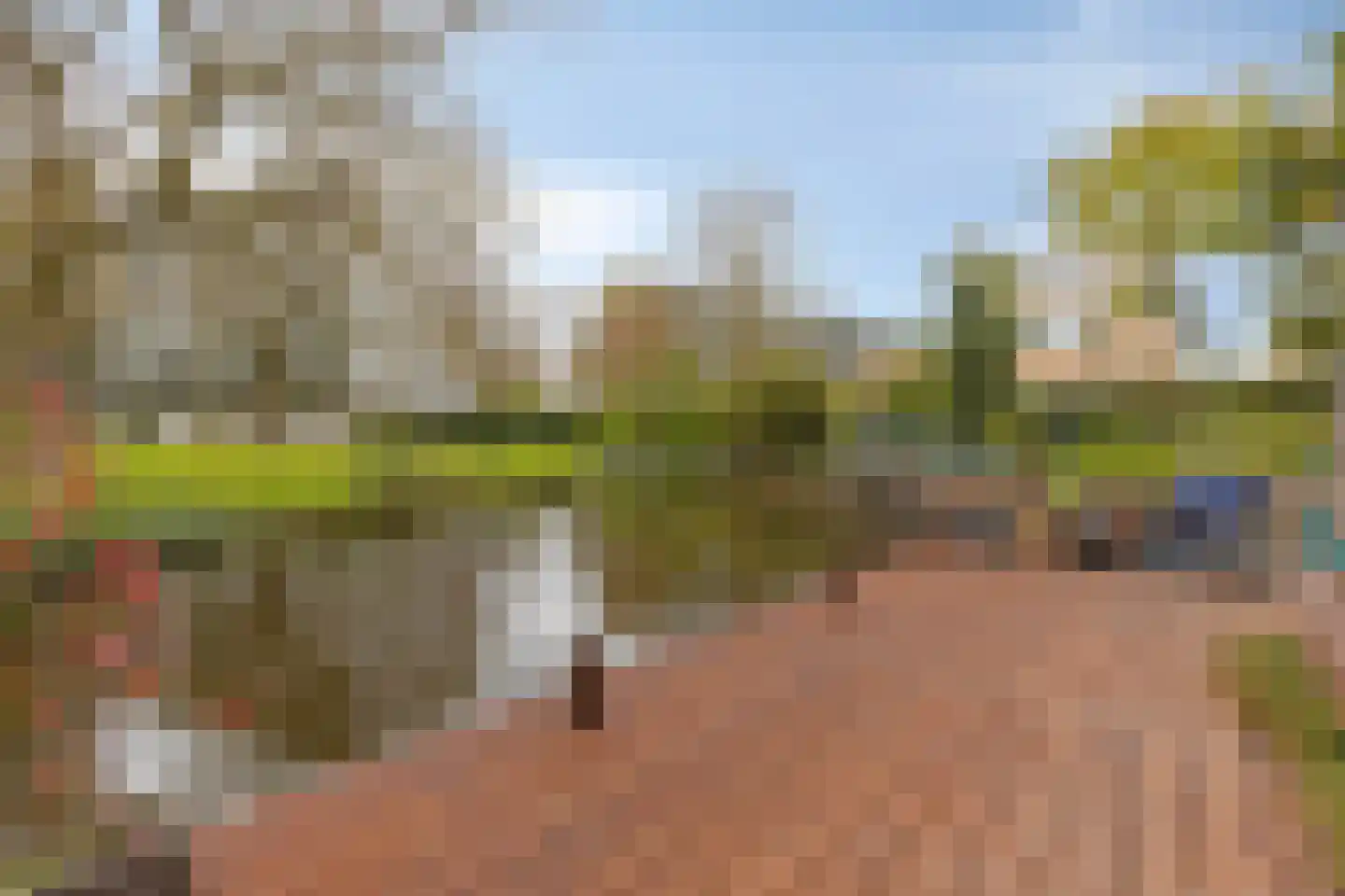 Zwaluwstraat 14 Lisse thumbnail 42