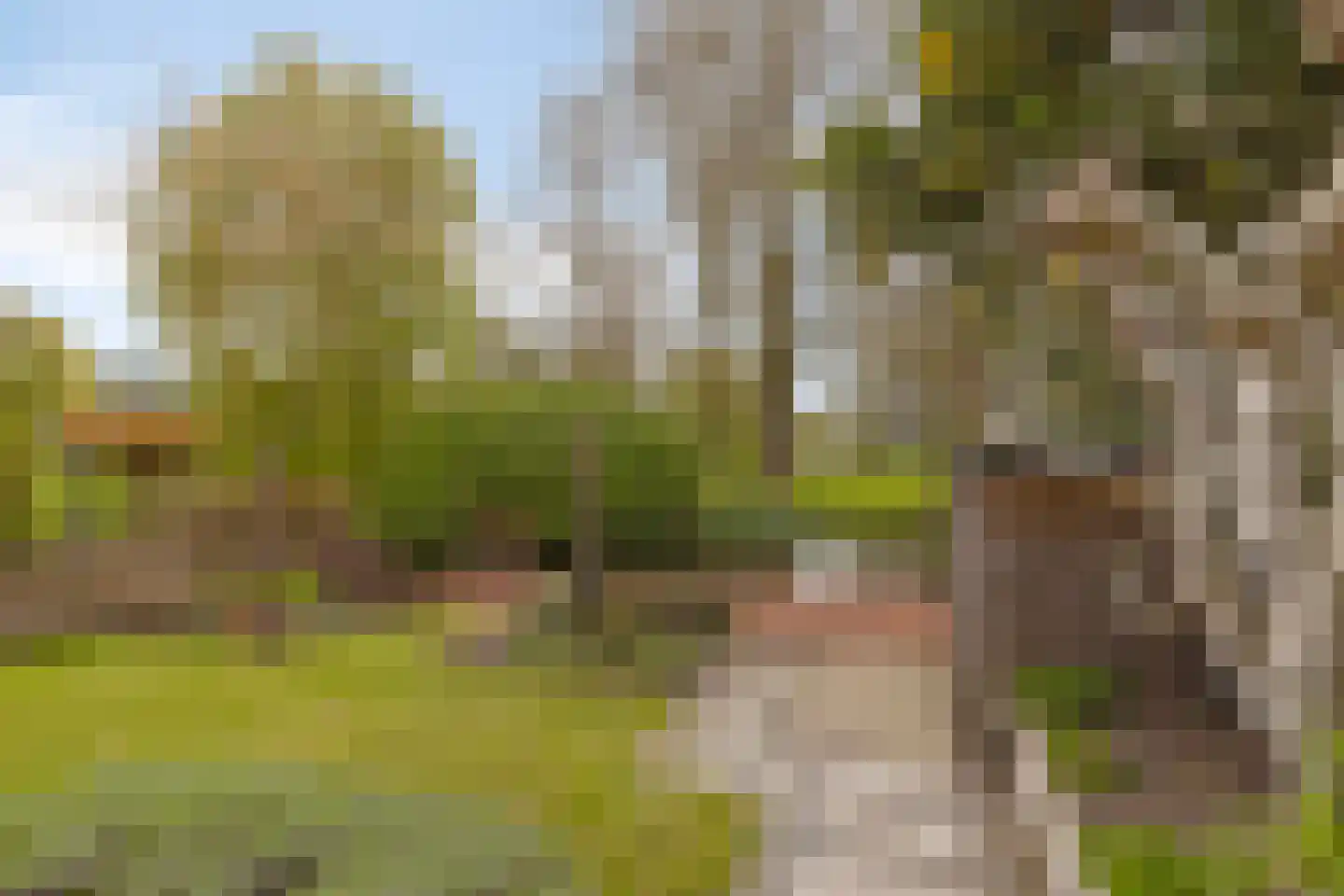 Zwaluwstraat 14 Lisse thumbnail 43