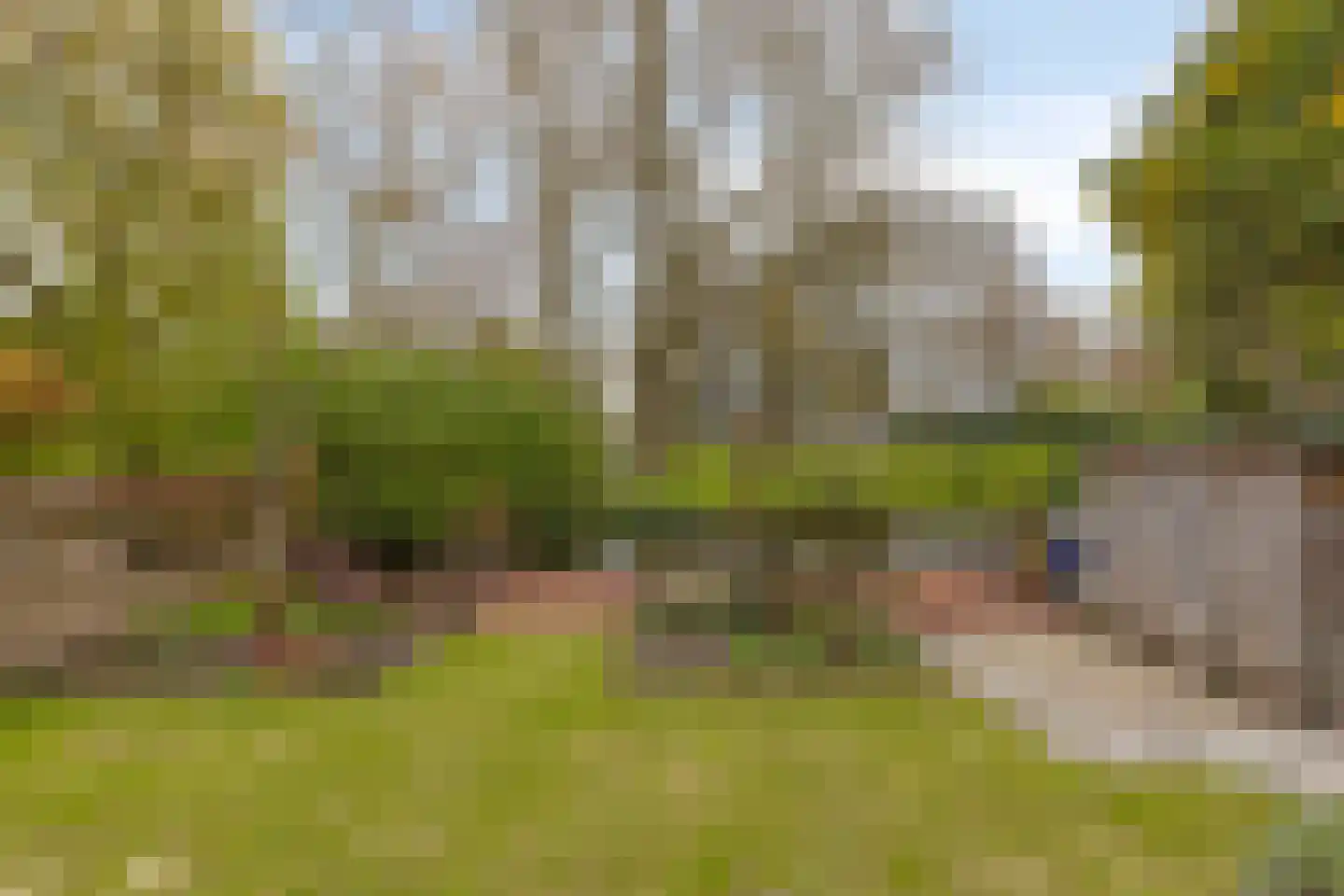 Zwaluwstraat 14 Lisse thumbnail 45
