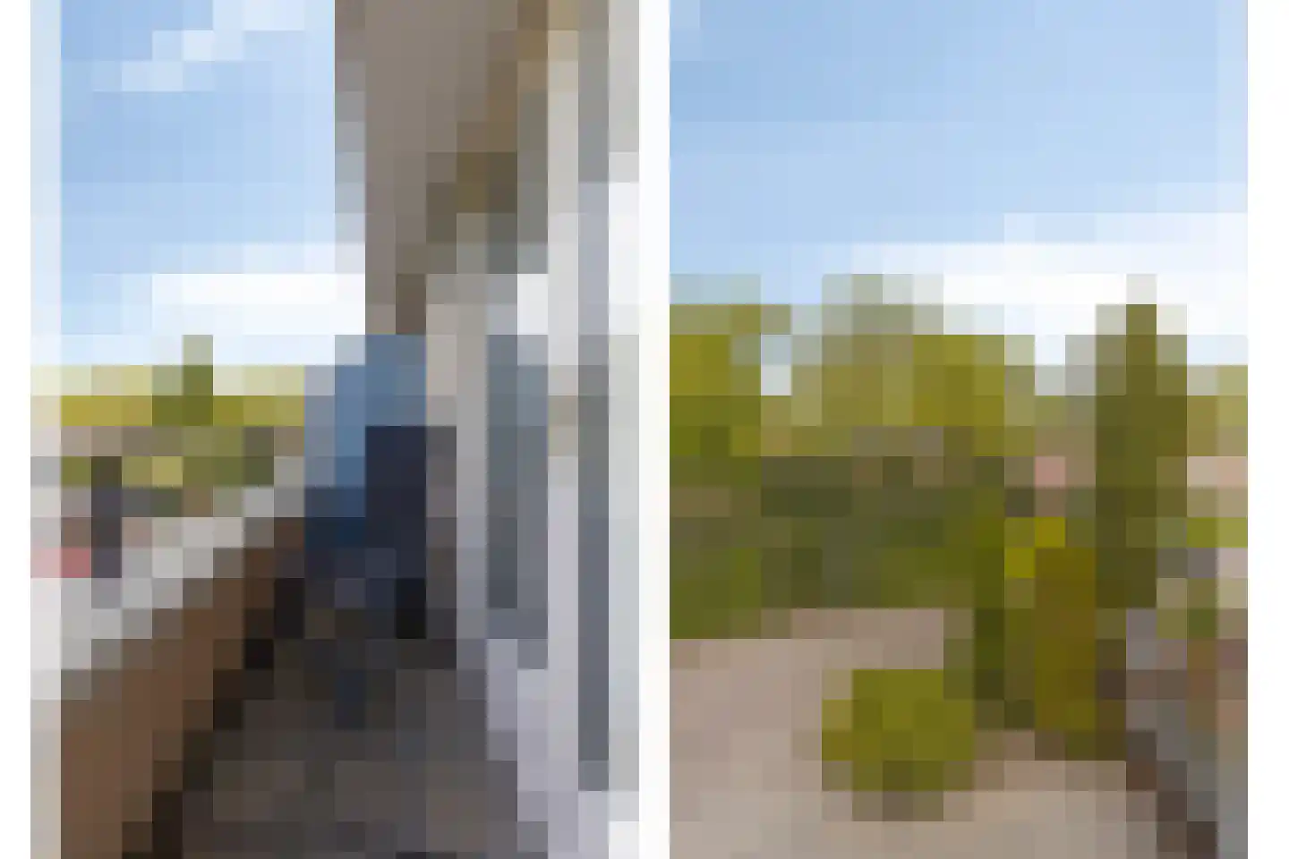 Zwaluwstraat 14 Lisse thumbnail 51