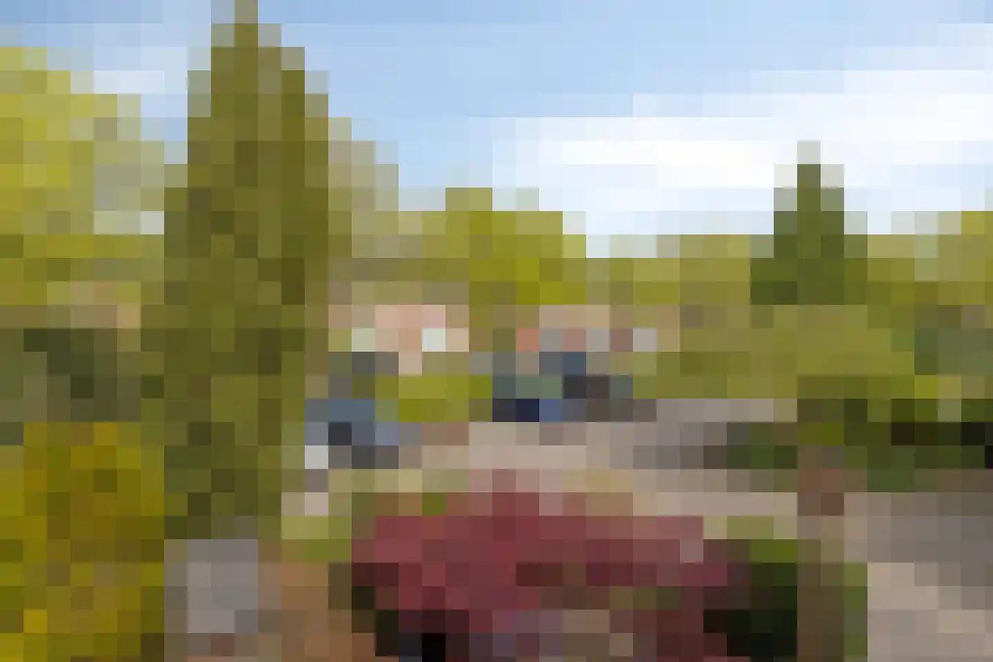 Zwaluwstraat 14 Lisse thumbnail 52