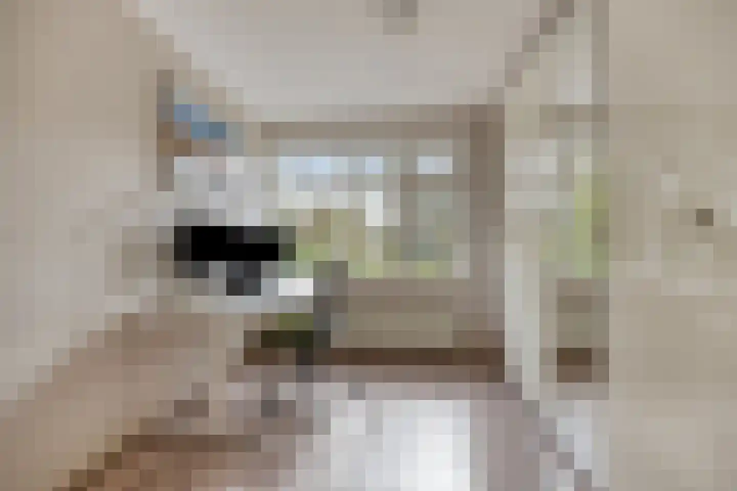 Zwaluwstraat 14 Lisse thumbnail 56
