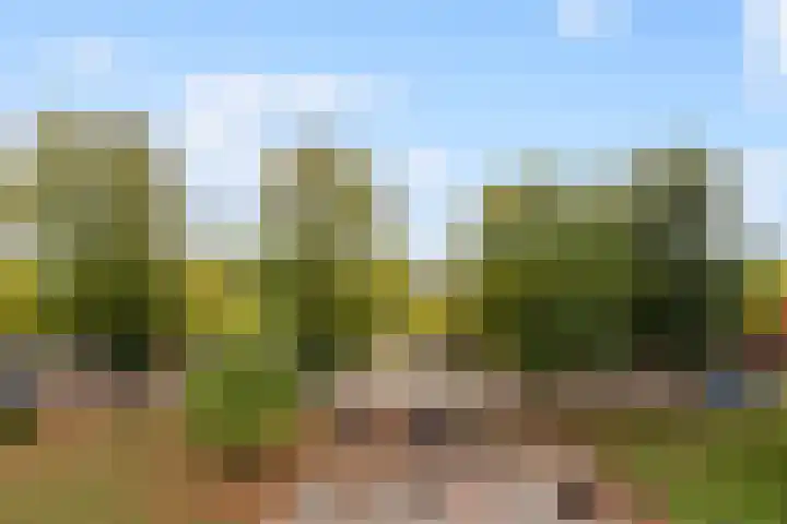 Zwaluwstraat 144 Maassluis thumbnail 14