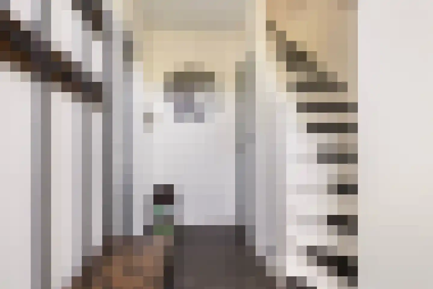 Zwaluwstraat 15 Vaassen thumbnail 10