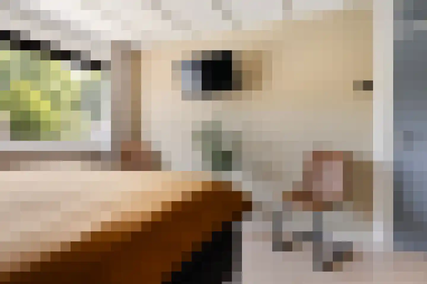 Zwaluwstraat 15 Vaassen thumbnail 14