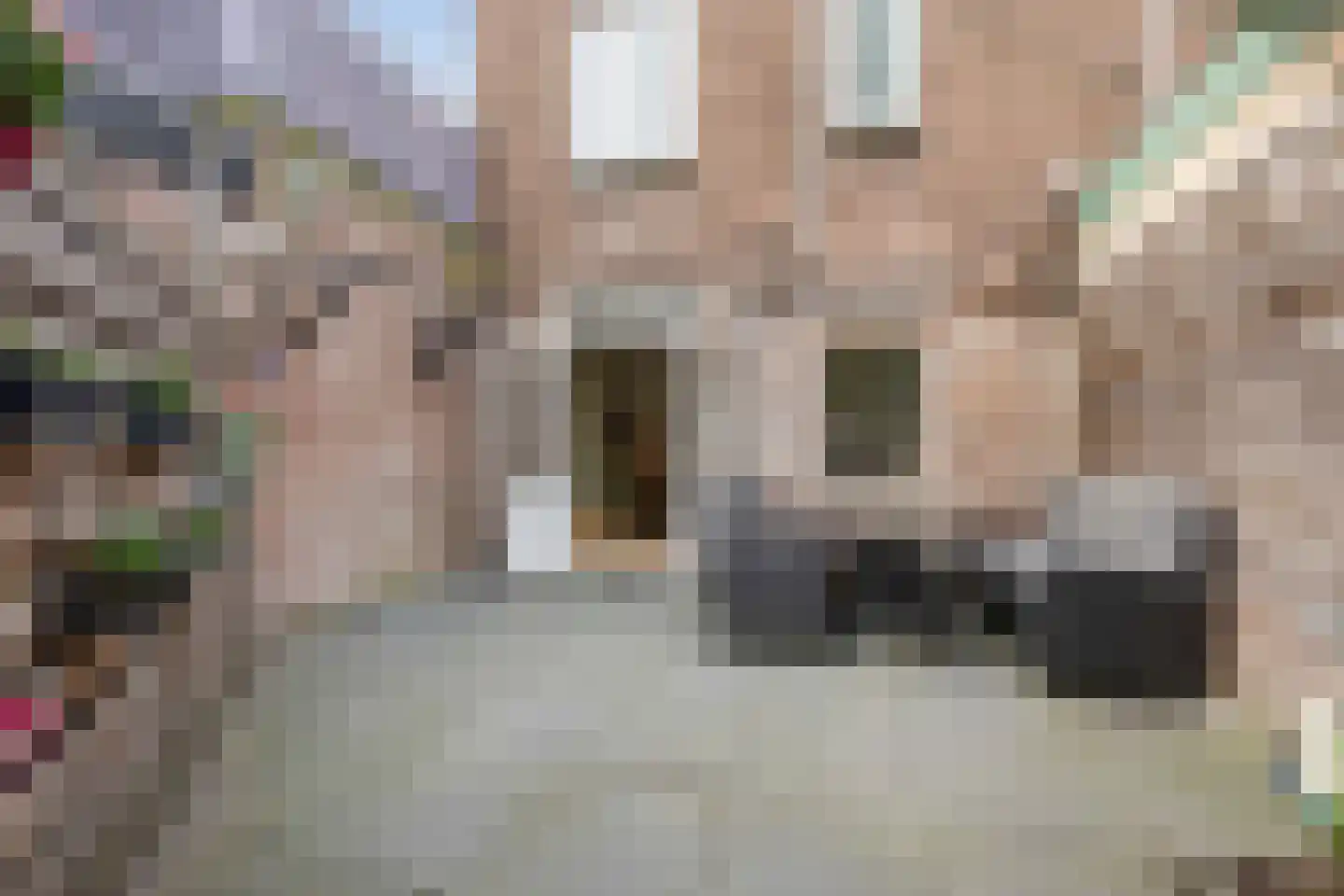 Zwaluwstraat 16 Haarlem thumbnail 18