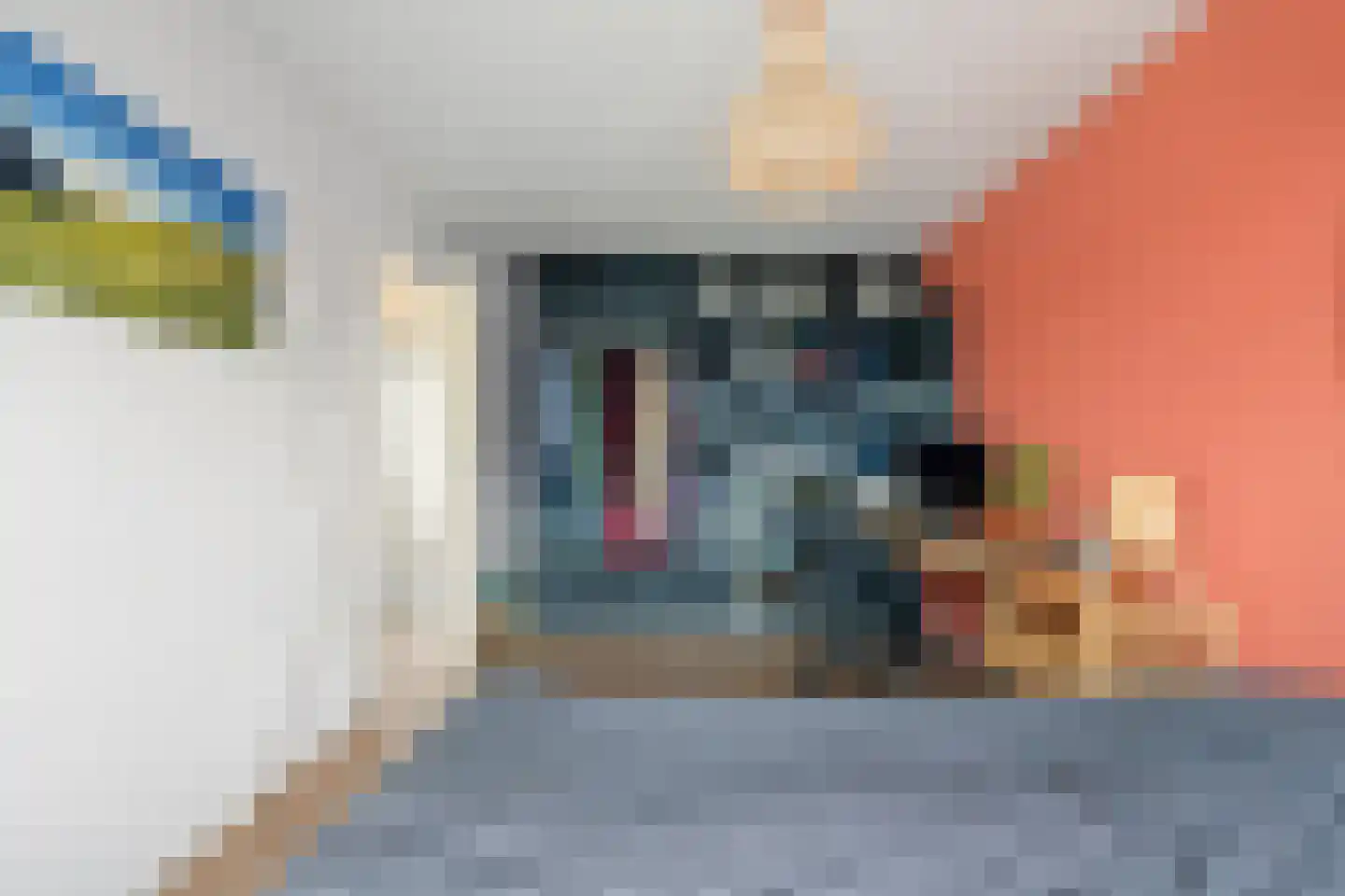 Zwaluwstraat 16 Haarlem thumbnail 33