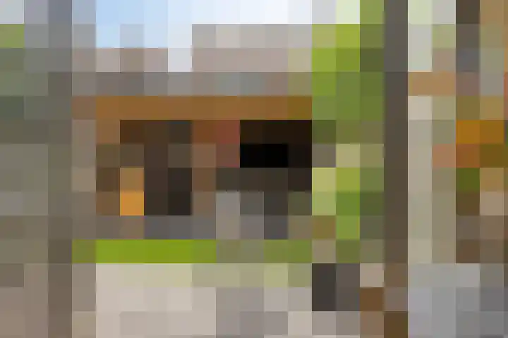Zwaluwstraat 17 Goor thumbnail 14