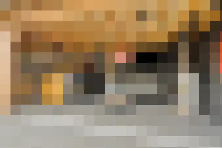Zwaluwstraat 17 Goor thumbnail 47
