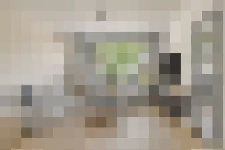 Zwaluwstraat 17 Goor thumbnail 7