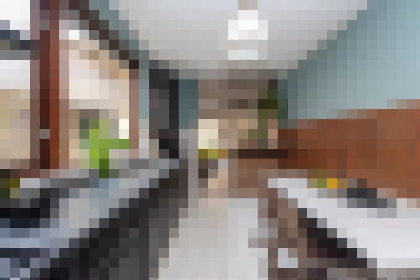 Zwaluwstraat 18 Tilburg thumbnail 12