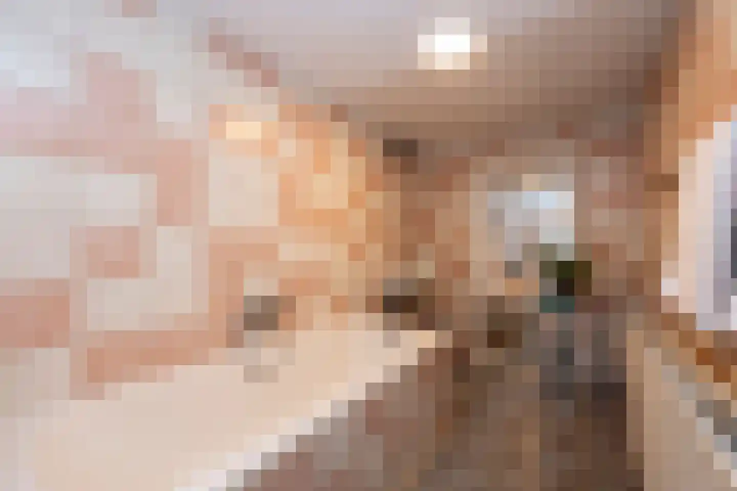 Zwaluwstraat 18 Tilburg thumbnail 16