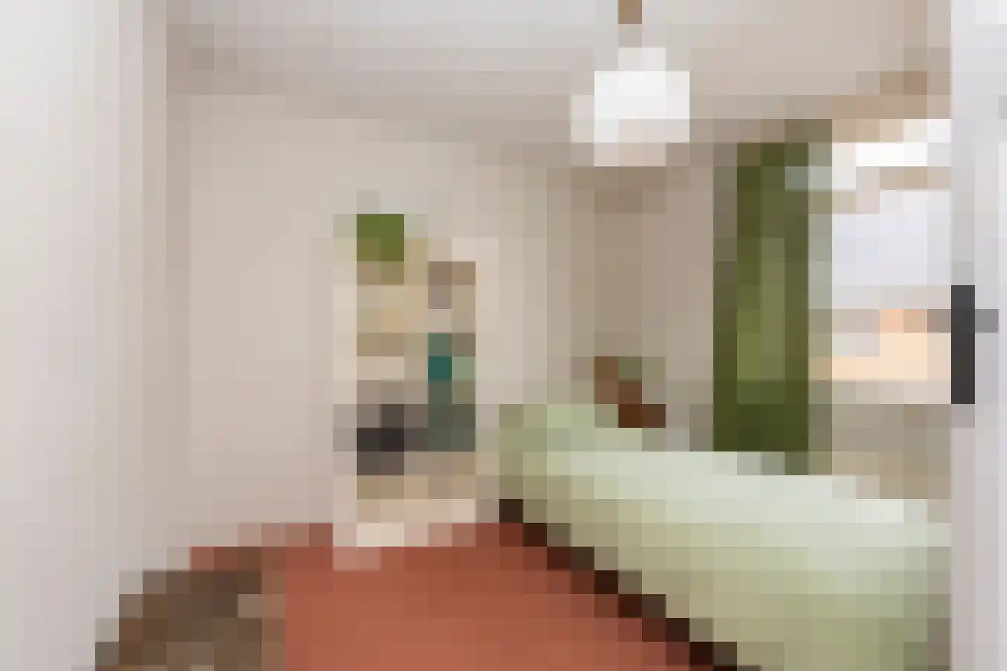 Zwaluwstraat 18 Tilburg thumbnail 25