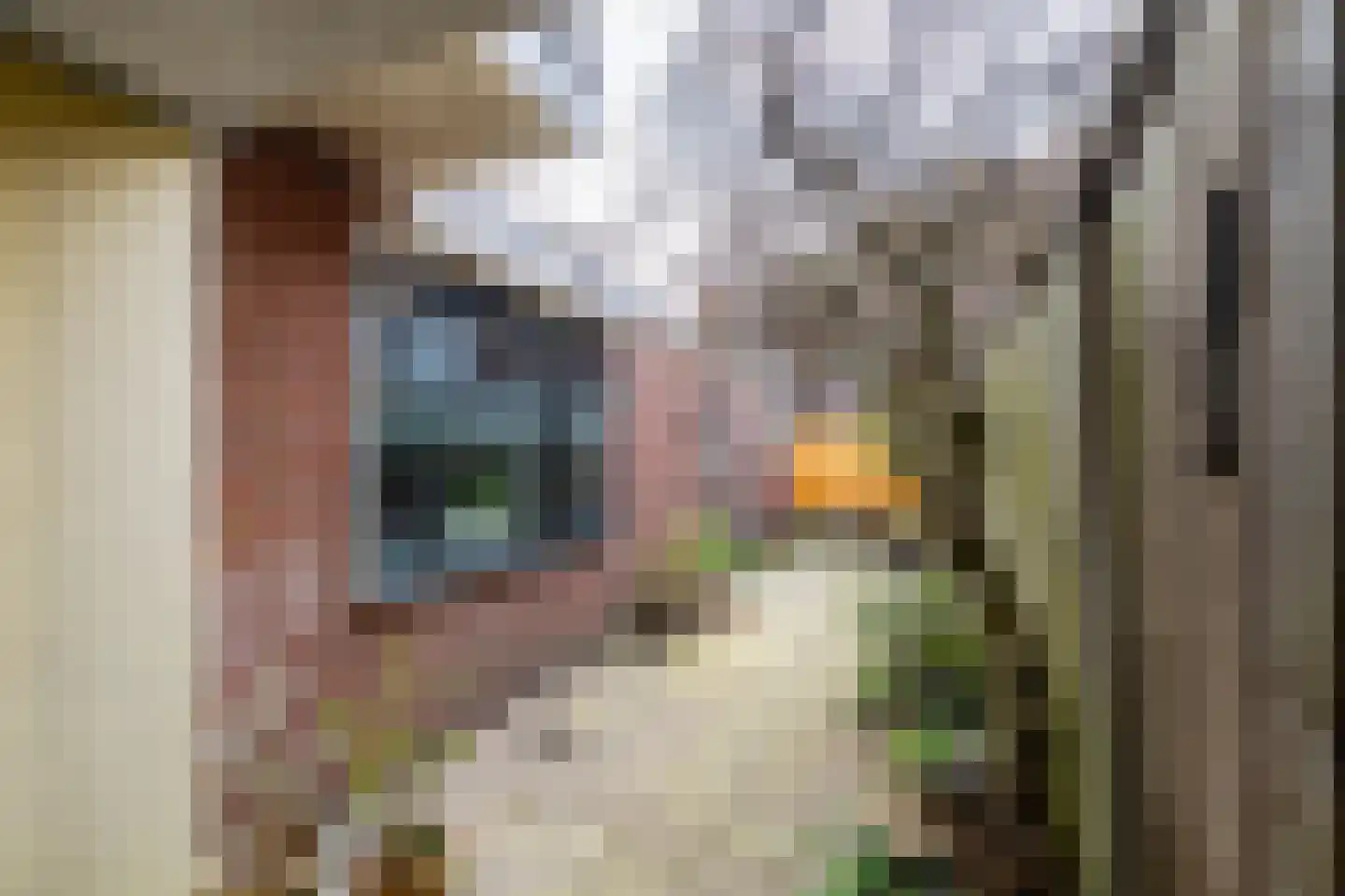 Zwaluwstraat 18 Tilburg thumbnail 30
