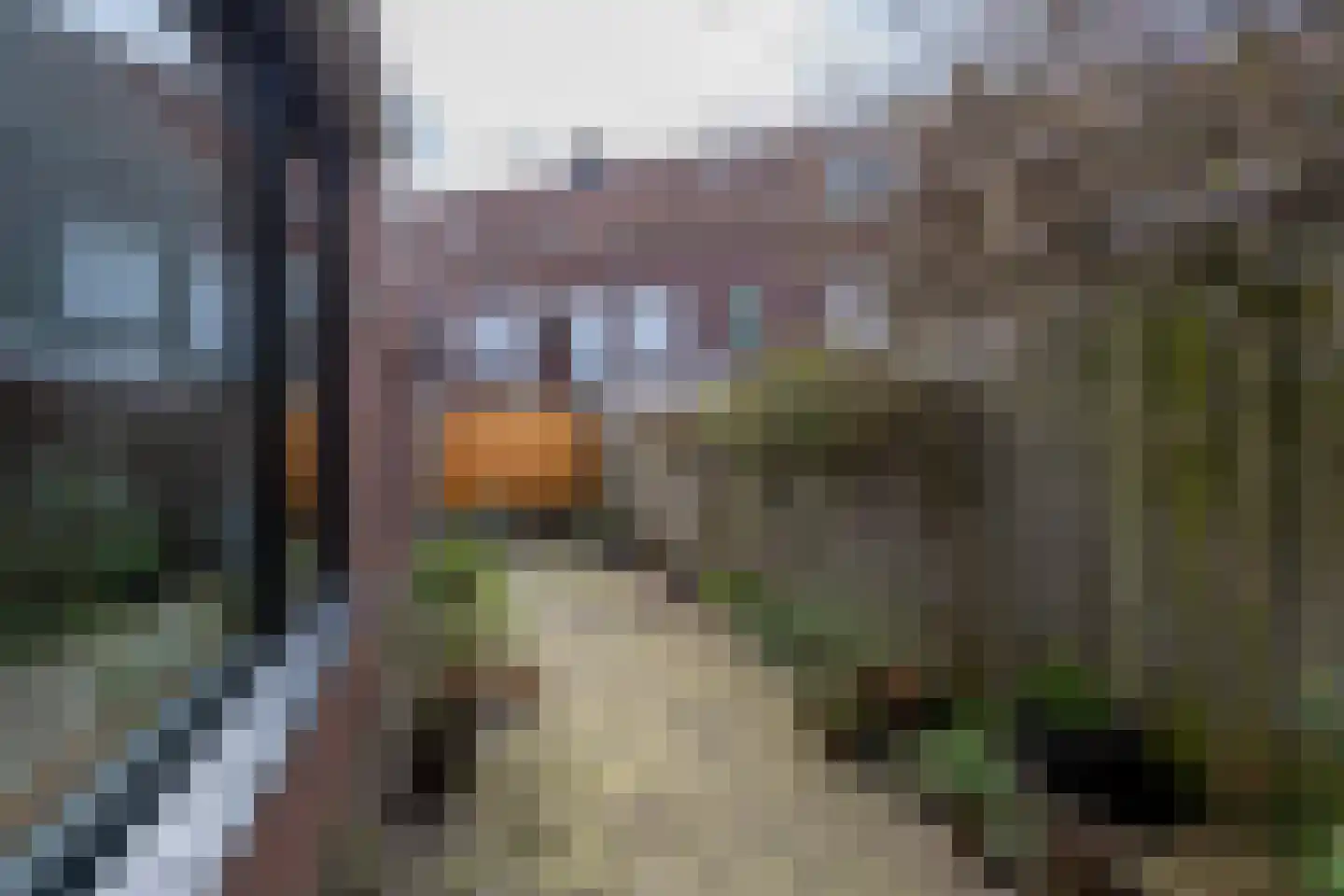 Zwaluwstraat 18 Tilburg thumbnail 31
