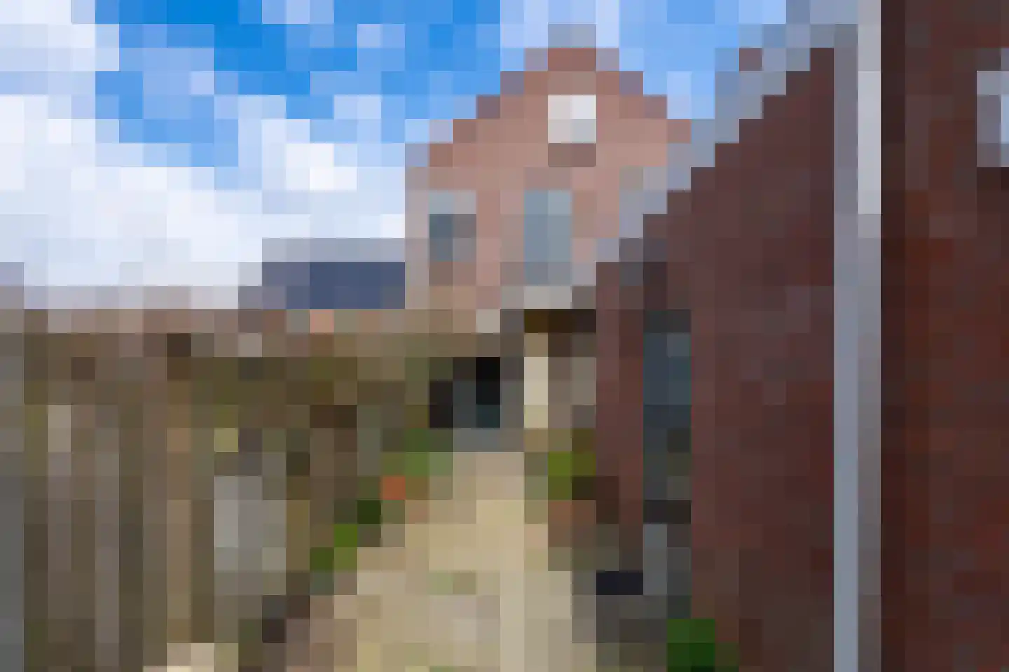 Zwaluwstraat 18 Tilburg thumbnail 32