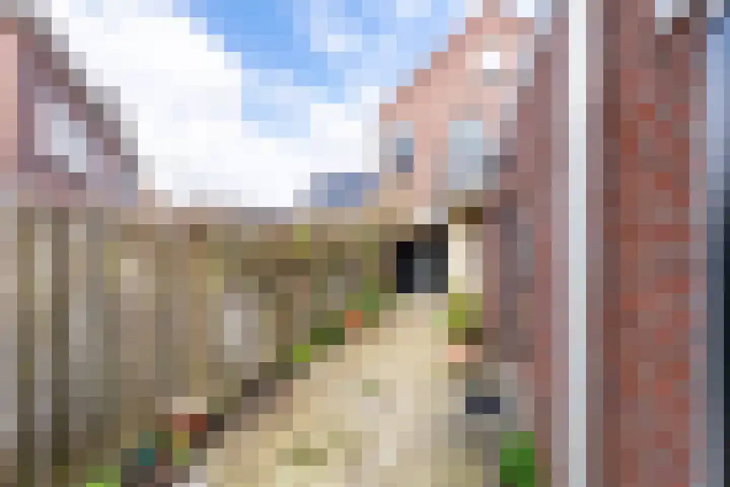 Zwaluwstraat 18 Tilburg thumbnail 33