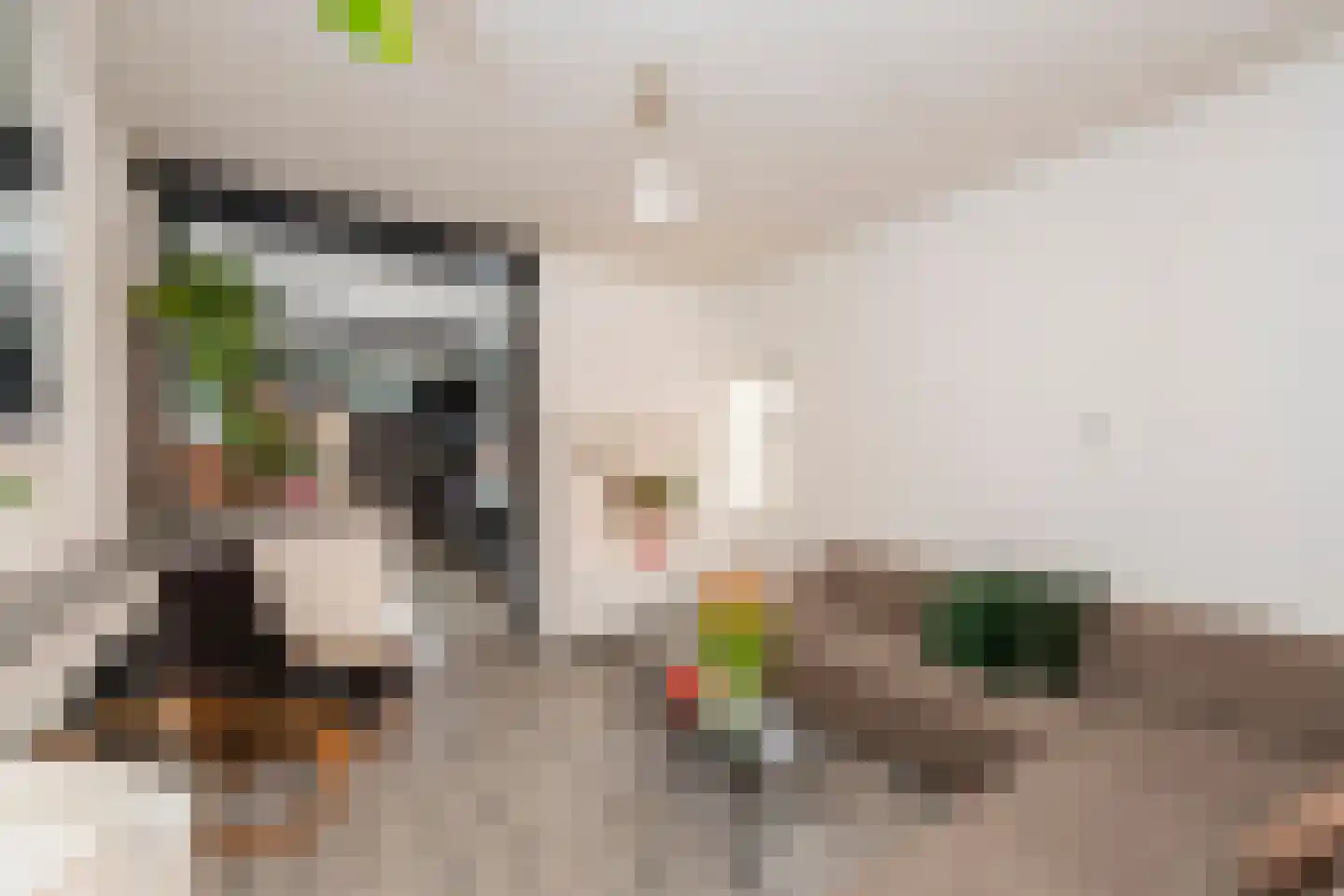 Zwaluwstraat 18 Tilburg thumbnail 6