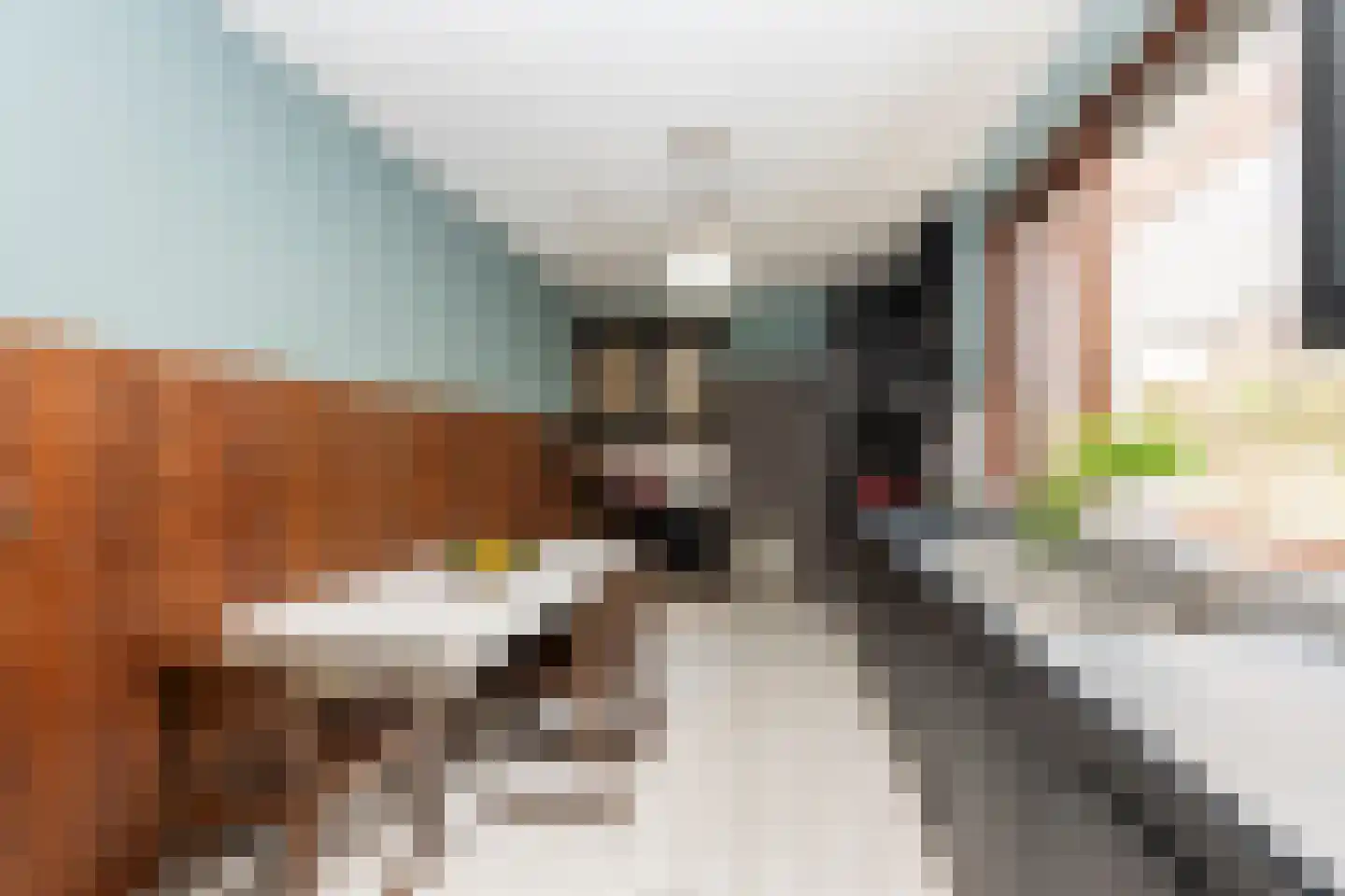 Zwaluwstraat 18 Tilburg thumbnail 9