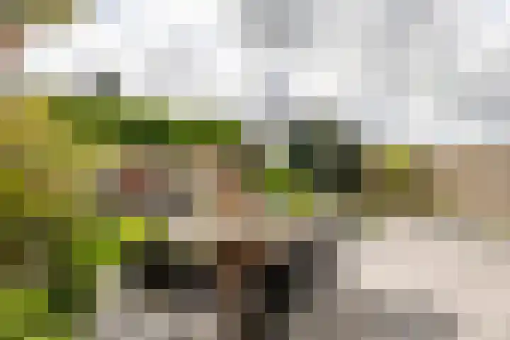 Zwaluwstraat 19 Oosthuizen thumbnail 5