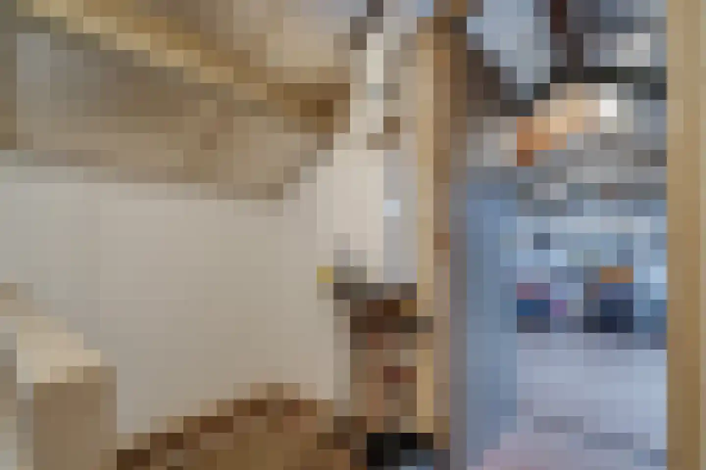 Zwaluwstraat 2 Norg thumbnail 35