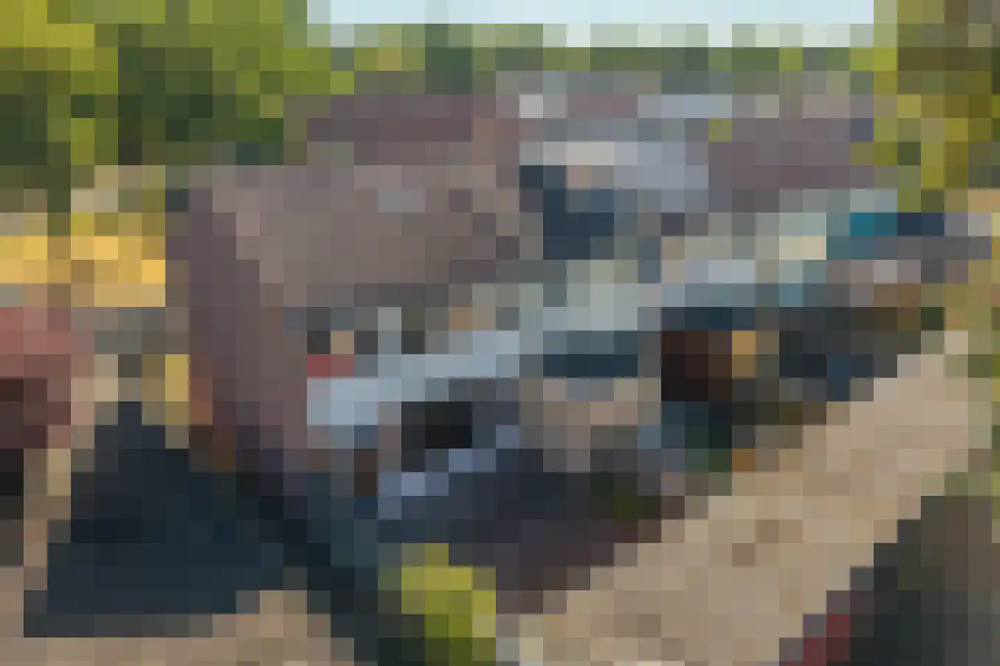 Zwaluwstraat 2 Norg thumbnail 41
