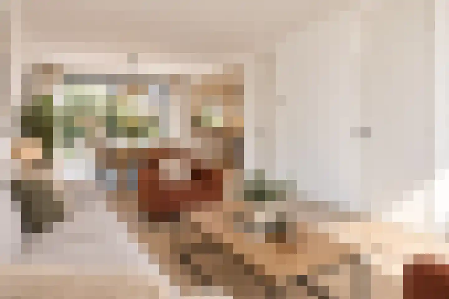 Zwaluwstraat 2 Norg thumbnail 5