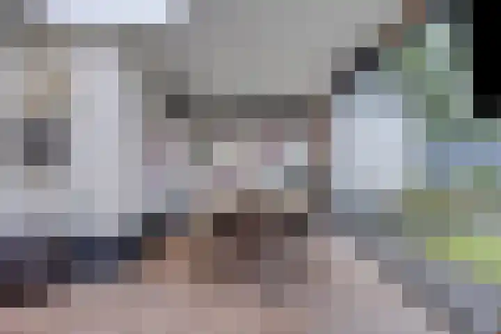 Zwaluwstraat 2 Wijchen thumbnail 17