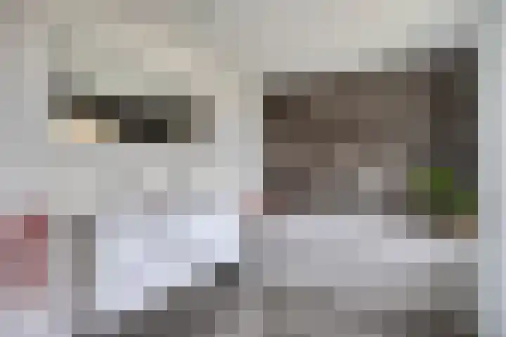 Zwaluwstraat 2 Wijchen thumbnail 22