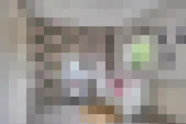 Zwaluwstraat 2 Wijchen thumbnail 25
