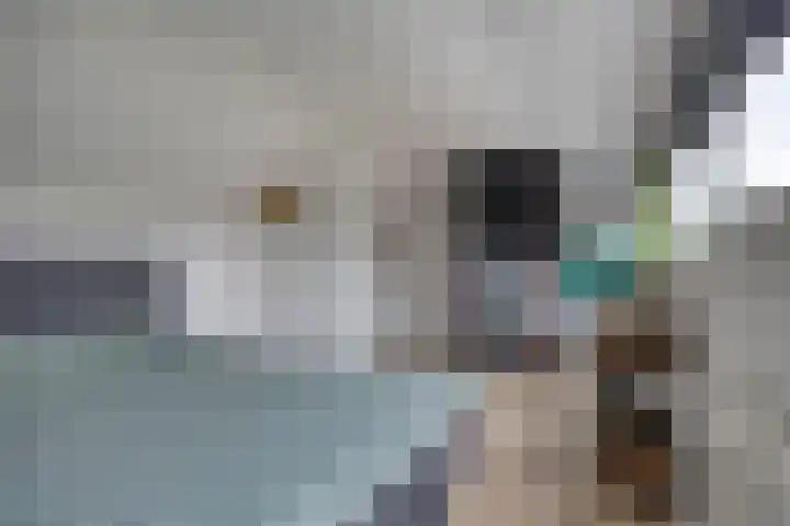 Zwaluwstraat 2 Wijchen thumbnail 30