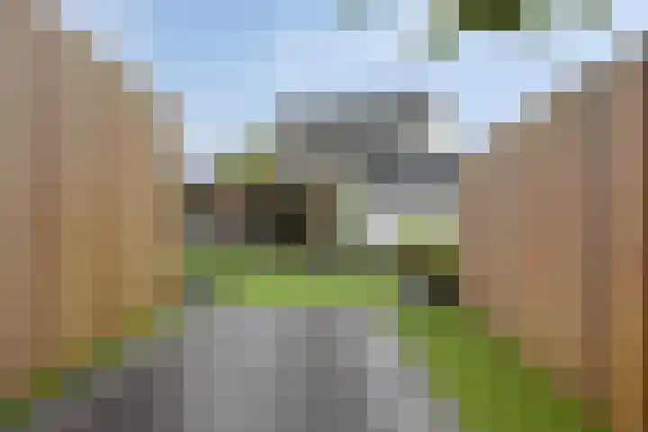 Zwaluwstraat 2 Wijchen thumbnail 32